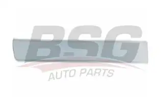 BSG 30924012 Kapı Bandı Arka Sağ