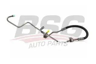 BSG 30725038 Direksiyon Hortumu