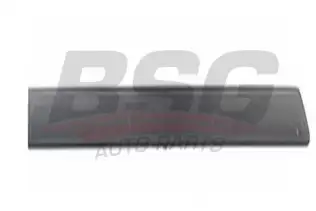 BSG 65925004 Kapı Bandı Arka Sağ