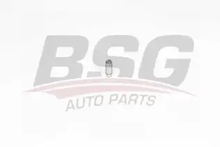 BSG 60122003 Supap Itıcısı