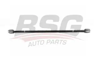 BSG 15315136 Salıncak Arka