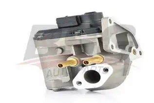 BSG 90836009 Egr Valfi
