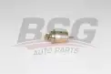 BSG 40130017 Yakıt Filtresi