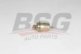 BSG 40130017 Yakıt Filtresi
