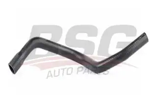 BSG 65720070 Kalorifer Hortumu Çıkış