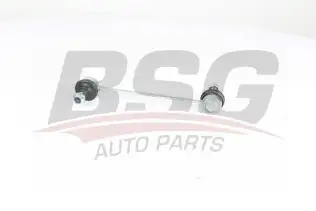 BSG 40310144 Viraj Askı Rotu Arka