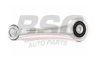 BSG 15315100 Salıncak Arka