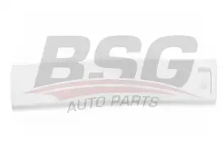 BSG 65925007 Kapı Bandı Ön Sol