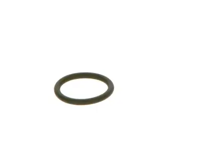 BOSCH F00RJ01452 O-Ring - 17. Görsel
