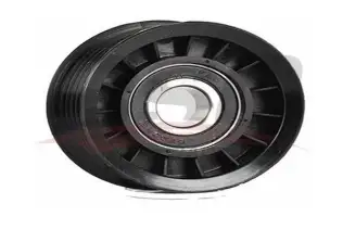 BSG 30615027 V Kayış Gergi Rulmanı