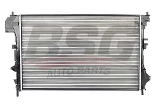 BSG 65520008 Su Radyatörü