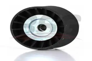 BSG 30615033 V Kayış Gergi Rulmanı