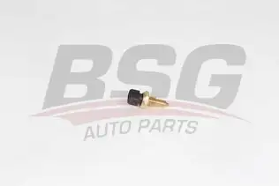 BSG 15840044 Hararet Müşürü