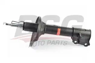 BSG 40300020 Amortisör Arka Sağ