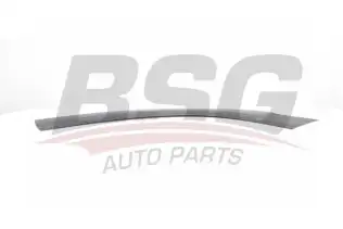 BSG 70925002 Kapı Bandı Ön
