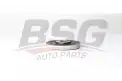 BSG 75170004 Krank Kasnağı