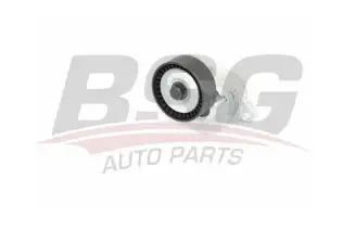 BSG 65615041 V Kayış Gergi Rulmanı