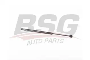 BSG 40980062 Bagaj Amortisörü