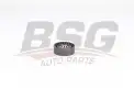 BSG 25615005 V Kayış Gergi Rulmanı