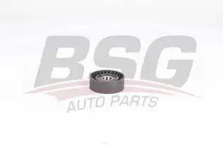 BSG 25615005 V Kayış Gergi Rulmanı