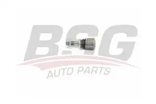 BSG 60315057 Ara Rotil