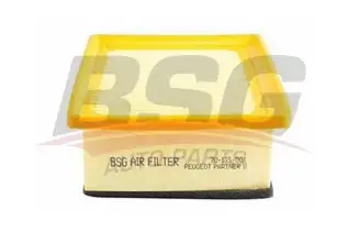 BSG 70135001 Hava Filtresi