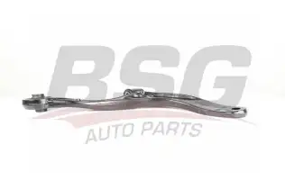 BSG 75315001 Salıncak Ön Sağ