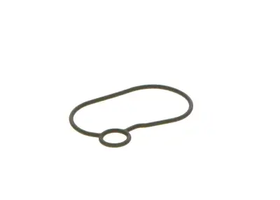 BOSCH 2440210054 O-Ring - 15. Görsel