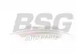 BSG 40145014 Polen Filtresi