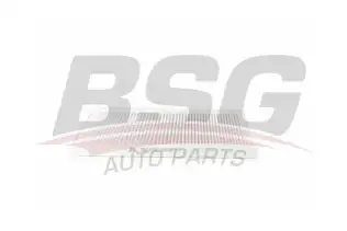 BSG 40145014 Polen Filtresi