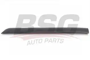 BSG 30924002 Kapı Bandı Ön Sağ