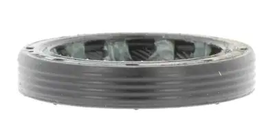 Aks Keçesi  CORTECO 19034061B - 2. Görsel
