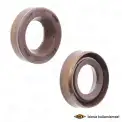 Aks Keçesi  SKT 040748-V