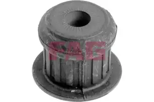 FAG 829055210 Aks Taşıyıcı Burcu Arka