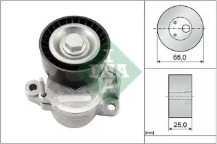 INA 534062510 V Kayış Gergisi Komple