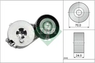INA 534033310 V Kayış Gergisi Komple