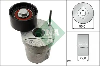 INA 534032010 V Kayış Gergisi Komple - 1. Görsel