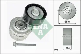INA 534010120 V Kayış Gergisi Komple
