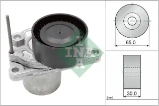 INA 534062410 V Kayış Gergisi Komple
