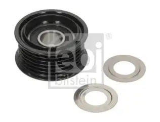 Alternatör Kasnağı  FEBI BILSTEIN 195021