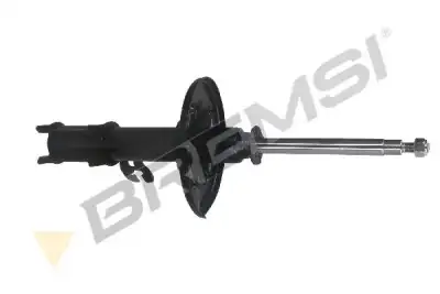 Amortisör Ön Sağ BSG 55-300-012 - 1. Görsel