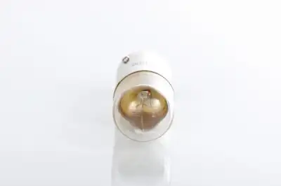BOSCH 1987302868 Ampül - 4. Görsel