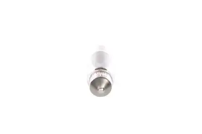 BOSCH 1987302507 Ampül - 2. Görsel