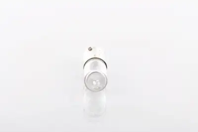 BOSCH 1987302533 Ampül - 4. Görsel