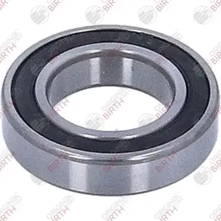 Ara Yatak, Tahrik Mili BIRTH 6621