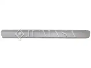 Kapı Bandı Ön Sağ BSG 25-922-106
