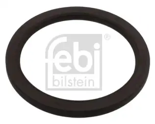 FEBI BILSTEIN 11808 Krank Keçesi Arka