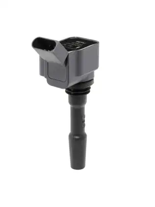 Ateşleme Bobini BorgWarner (BERU) ZSE236