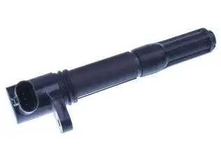 Ateşleme Bobini  BSG 25-835-005