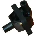 Ateşleme Bobini  BSG 60-835-006